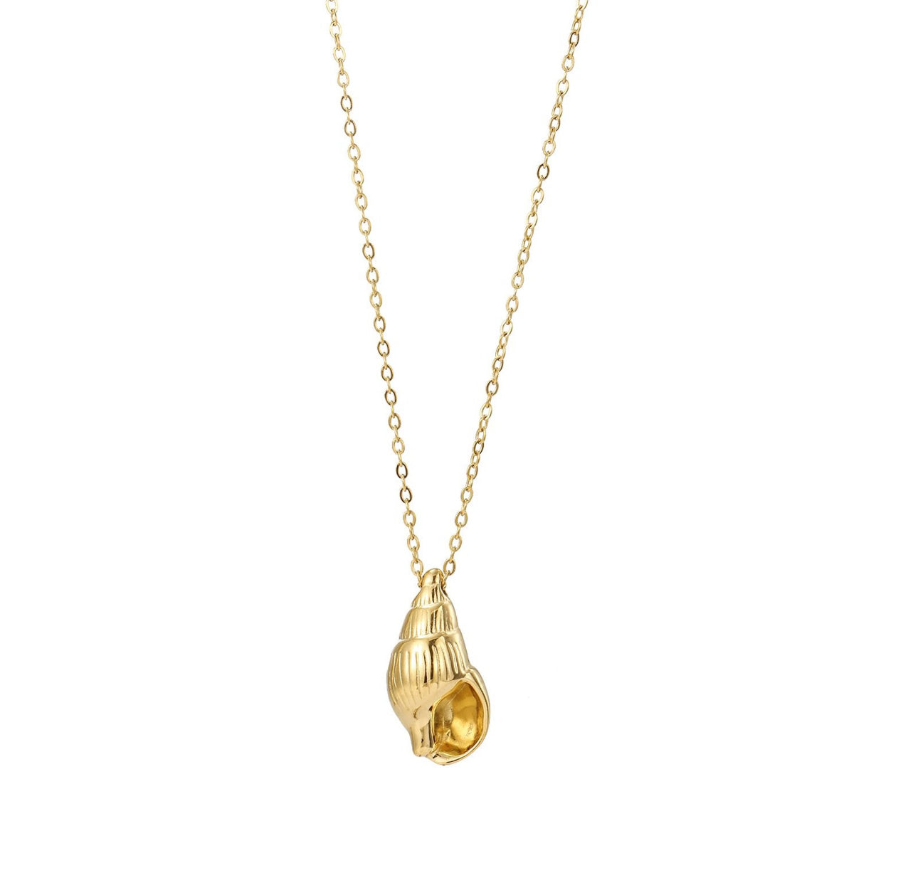 Collana Conchiglia