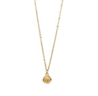 Collana Conchiglia