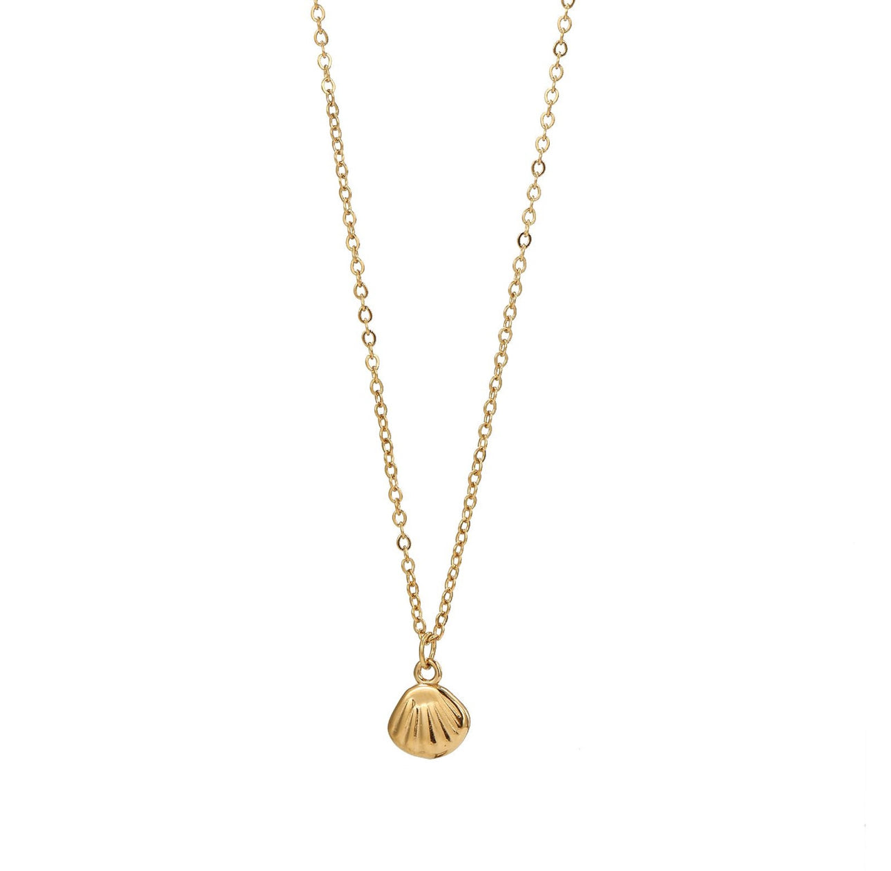Collana Conchiglia