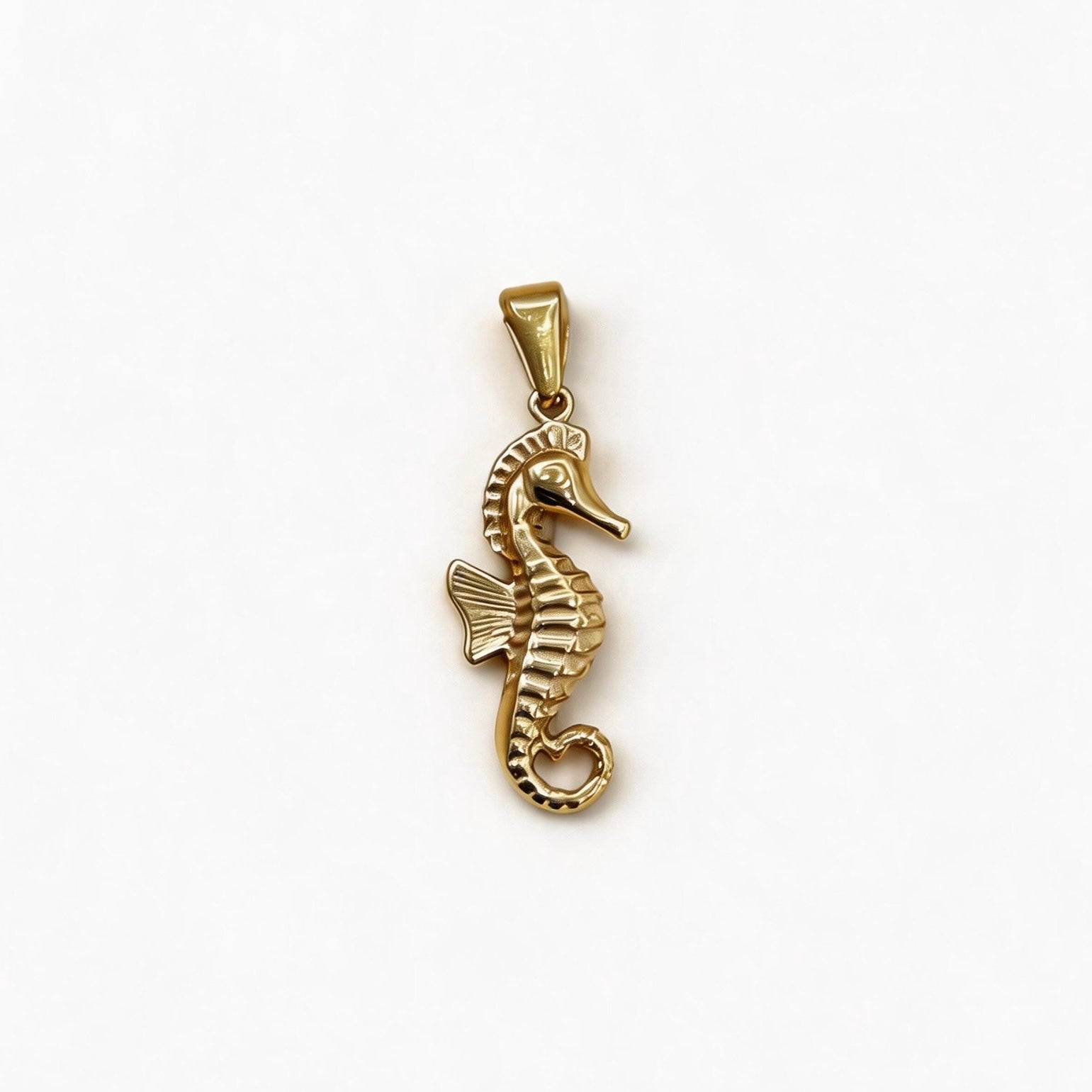 Charm Cavalluccio Marino