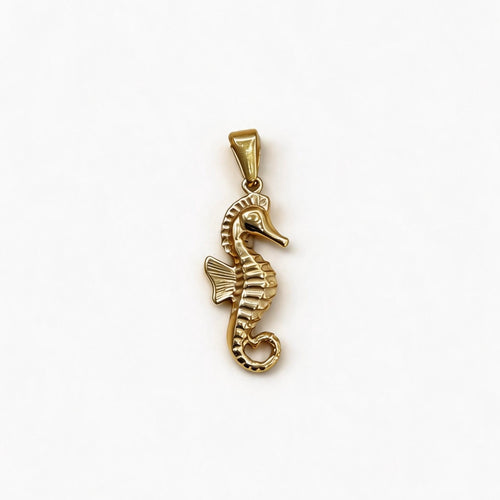 Charm Cavalluccio Marino