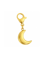 Charm Luna