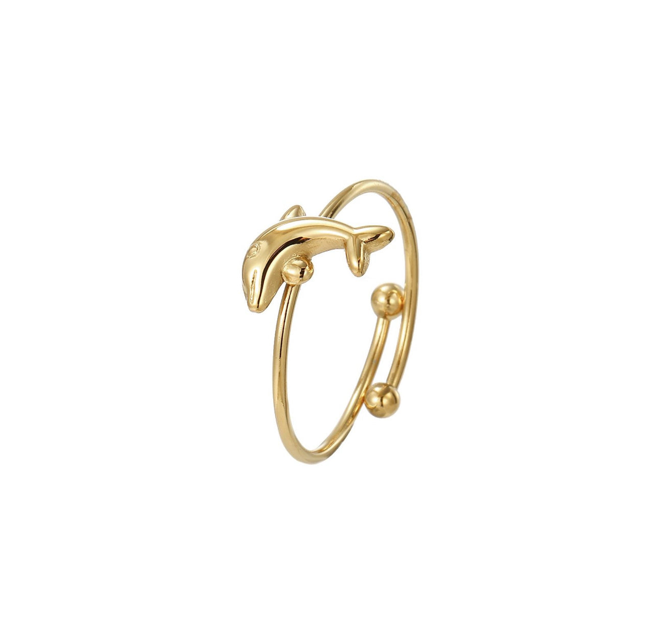Anello Delfino