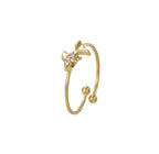 Anello Pesce